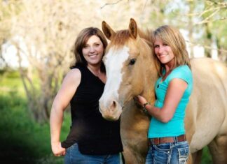 ¿Qué es el Coaching con Caballos? ¿Qué es el Coaching con Caballos?