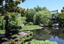 Beneficios del Mindfulness al Aire Libre Beneficios del Mindfulness al Aire Libre