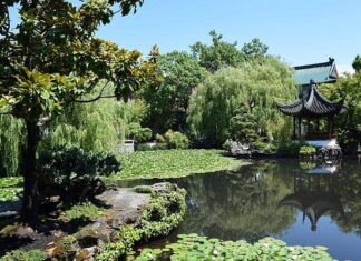 Beneficios del Mindfulness al Aire Libre Beneficios del Mindfulness al Aire Libre