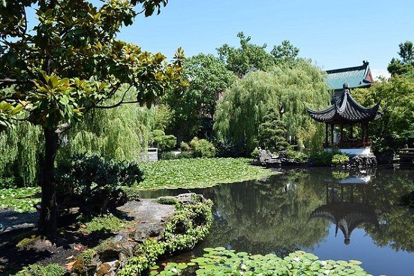 Beneficios del Mindfulness al Aire Libre