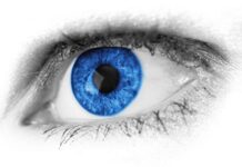 Cómo Prevenir el Síndrome del Ojo Seco Cómo Prevenir el Síndrome del Ojo Seco