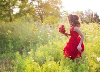 7 Beneficios de Pasear por el Campo en Otoño 7 Beneficios de Pasear por el Campo