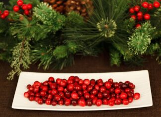 Cinco Buenos Hábitos para No Subir de Peso en Navidad Cinco Buenos Hábitos para No Subir de Peso en Navidad