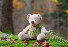 ¿Cómo Elegir Regalos Saludables para los Niños? ¿Cómo Elegir Regalos Saludables para los Niños?