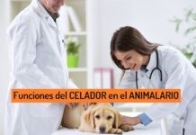 Funciones del CELADOR en el ANIMALARIO Funciones del CELADOR en el ANIMALARIO