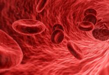 6 Razones para Ser Donante de Sangre 5 Razones para Ser Donante de Sangre