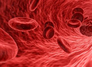 6 Razones para Ser Donante de Sangre 5 Razones para Ser Donante de Sangre