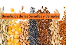 PROPIEDADES Beneficiosas de las SEMILLAS y CEREALES en tu alimentación Beneficios Semillas Cereales