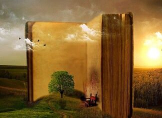 ¿Por Qué Los Libros son una Medicina Necesaria? Consejos para leer libros