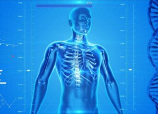 Dolor lumbar, todo lo que tienes que saber Dolor lumbar, todo lo que tienes que saber