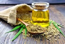 5 usos comprobados del CANNABIS MEDICINAL