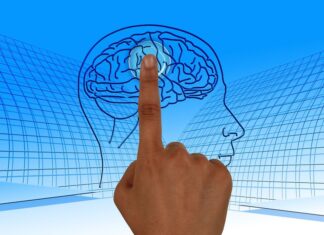 Mantener el CEREBRO joven es posible Mantener el CEREBRO joven es posible