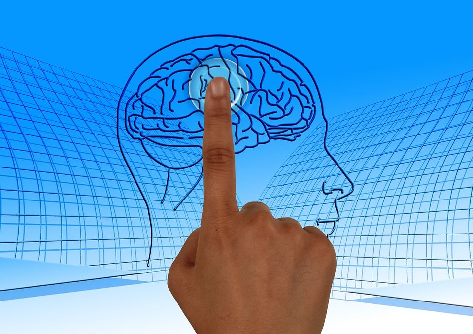 Mantener el CEREBRO joven es posible