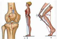 FISIOTERAPIA y biomecánica para músicos profesionales Biomecanica 2