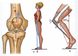 FISIOTERAPIA y biomecánica para músicos profesionales Biomecanica 2