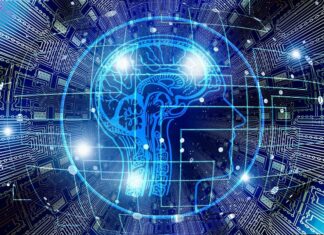 El cerebro cuando duerme: ¿qué sucede? El cerebro cuando duerme: ¿qué sucede?