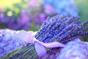 Beneficios que otorga la aromaterapia