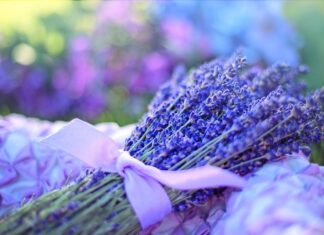 Beneficios que otorga la aromaterapia Beneficios que otorga la aromaterapia