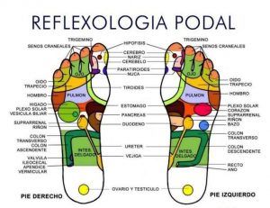 Reflexologia