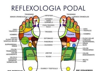 Técnicas de FISIOTERAPIA, 4 libros recomendados Reflexologia