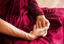 Relación entre Mindfulness y Budismo Relación entre Mindfulness y Budismo