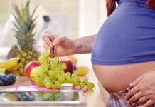 Nutrientes y alimentación para la FISIOTERAPIA