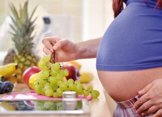 Nutrientes y alimentación para la FISIOTERAPIA