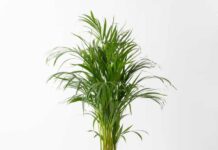 Consejos para decorar y conformar un espacio de fisioterapia agradable