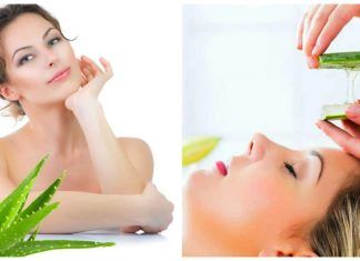 Beneficios del aloe vera para la salud Beneficios Aloe Vera