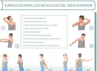 Estiramientos para brazos y pectorales Estiramientos Musculos Tren Superior