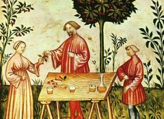 2000 años de fisioterapia ¿Cómo evolucionó?