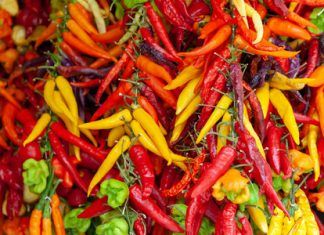 Capsaicina y aceite de eucalipto, remedios caseros aceptados por la ciencia