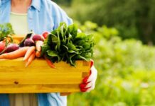 Crecimiento del mercado de productos naturales y sus beneficios Productos ecológicos, alimentación