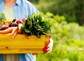 Crecimiento del mercado de productos naturales y sus beneficios Productos ecológicos, alimentación