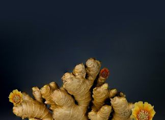 Té de Jengibre: Beneficios y cómo prepararlo Té de Jengibre: Beneficios y cómo prepararlo