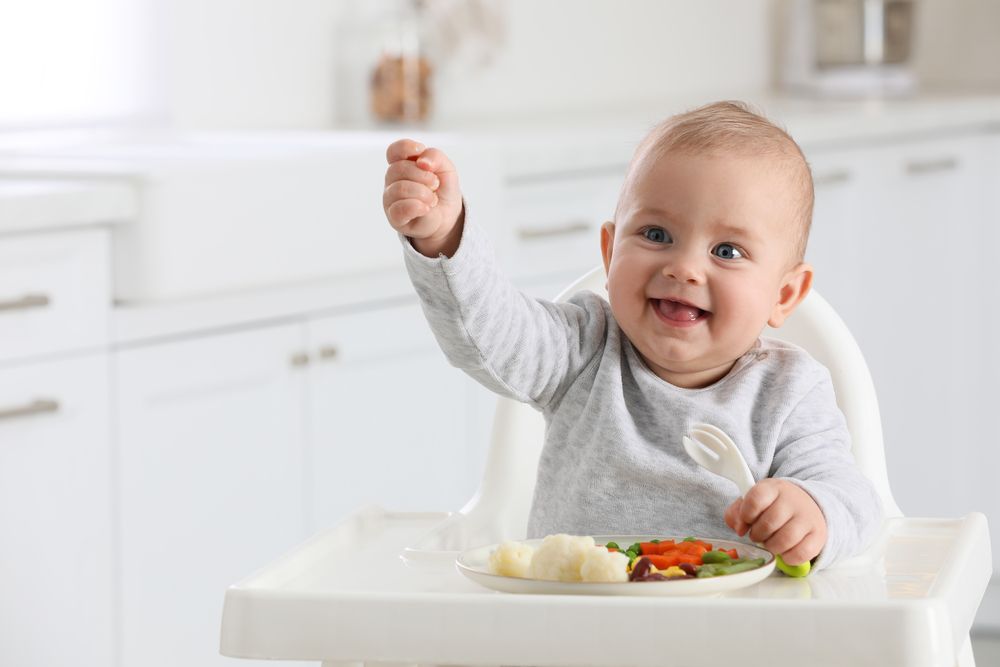 BABY LED WEANING