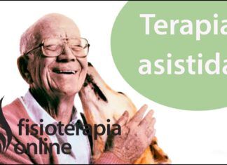 Fisioterapia y Rehabilitación con Animales para Problemas Neurológicos y Ortopédicos