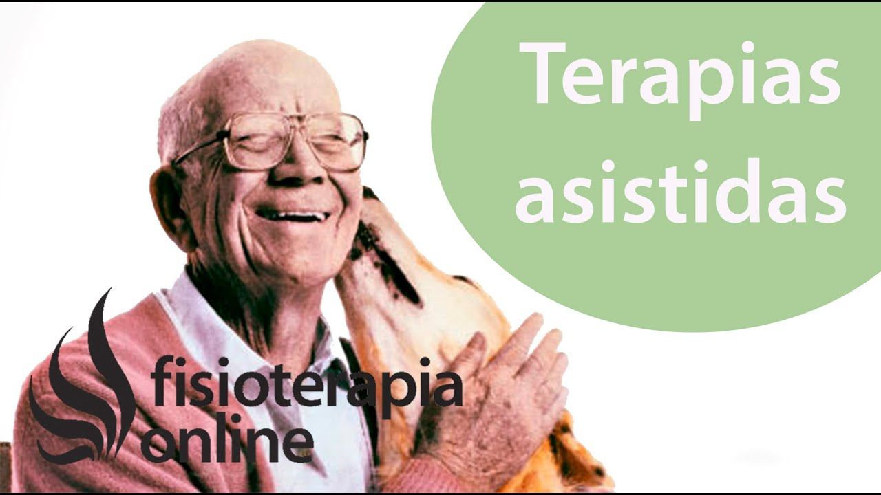 Fisioterapia y Rehabilitación con Animales para Problemas Neurológicos y Ortopédicos