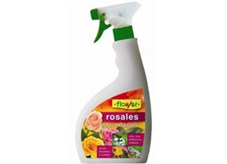 Enfermedades que se asocian con la obesidad Flower 30599 - enfermedades de los rosales, 750ML